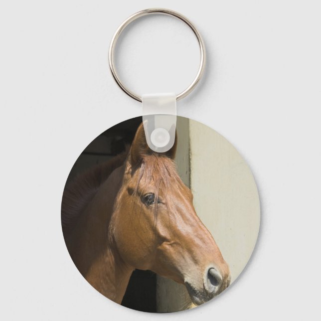 Chaveiro do Cavalo Quarter Americano (Frente)