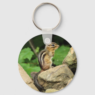 Chaveiro do Chipmunk