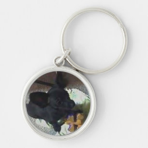 CHAVEIRO DO "CORRENTE CHAVE SUPERIOR BEBÊ POKEMON"