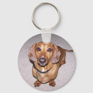 Chaveiro do Dachshund