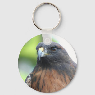 Chaveiro do falcão