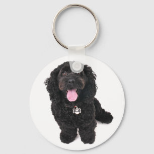 chaveiro do filhote de cachorro da mistura da