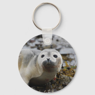 Chaveiro do filhote de cachorro de selo