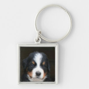 Chaveiro do filhote de cachorro do cão de montanh