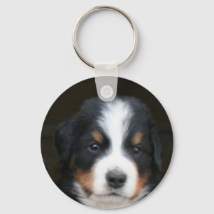 Chaveiro do filhote de cachorro do cão de montanh