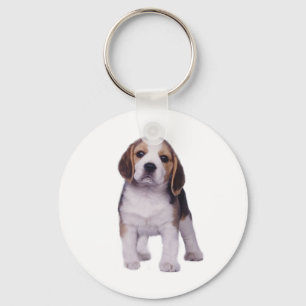 Chaveiro do filhote de cachorro do lebreiro