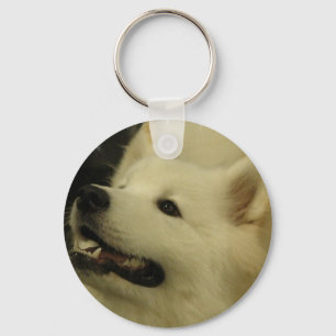 Chaveiro do filhote de cachorro do Samoyed