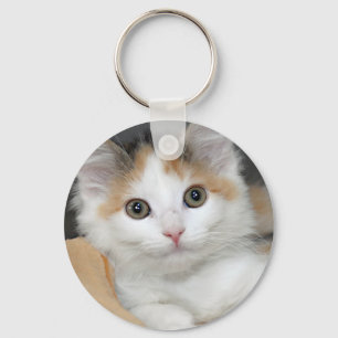 Chaveiro do gatinho do abrigo da chita de