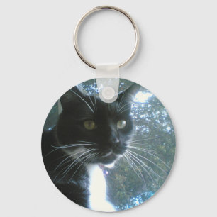 chaveiro do gato
