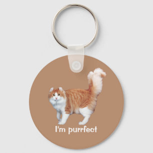 Chaveiro do gato