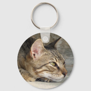 Chaveiro do gato de gato malhado