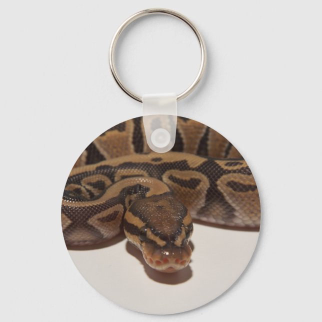 Chaveiro do Ghost Ball Python (Frente)