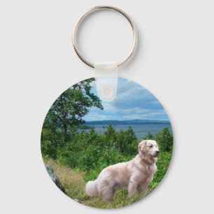 Chaveiro do golden retriever no lago