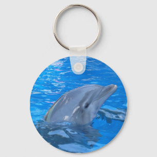 Chaveiro do golfinho de Bottlenose