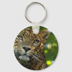 Chaveiro do leopardo