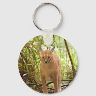 Chaveiro do lince de Caracal