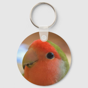 Chaveiro do Lovebird
