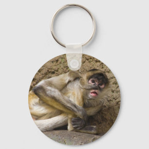 chaveiro do macaco