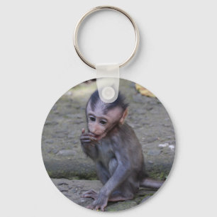 Chaveiro do macaco