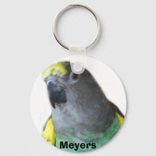 Chaveiro do papagaio de Meyers