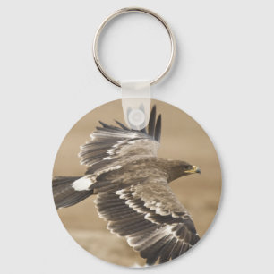Chaveiro do pássaro de Eagle do vôo
