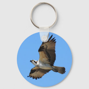 Chaveiro do pássaro do Osprey