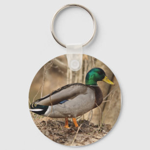 Chaveiro do PATO do PATO SELVAGEM