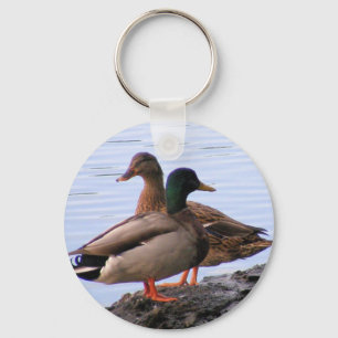 Chaveiro do pato selvagem