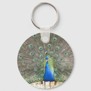 Chaveiro do pavão