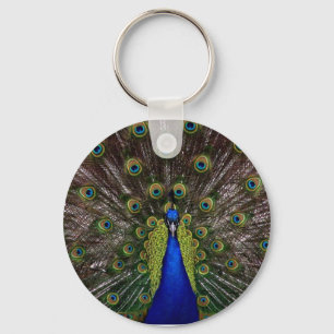 Chaveiro do pavão