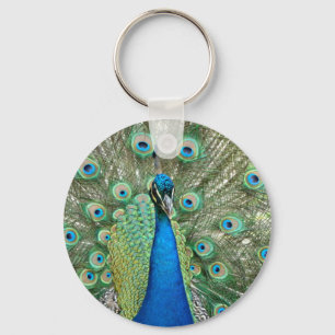 Chaveiro do pavão