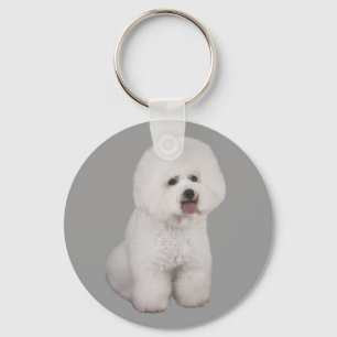 Chaveiro do precioso de Bichon Frise