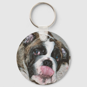 Chaveiro do protetor da chave do buldogue de