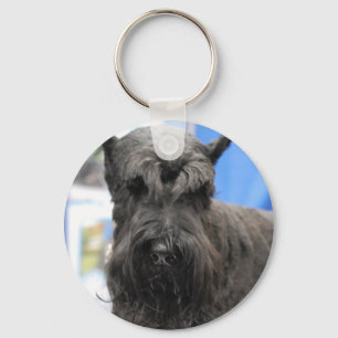 Chaveiro do Schnauzer gigante