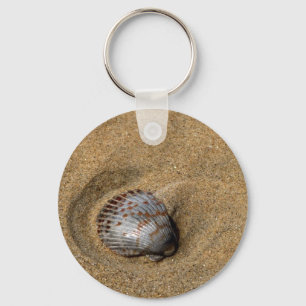 Chaveiro do Sea Shell