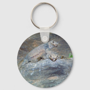 Chaveiro do suporte da cabeça de Chuckwalla