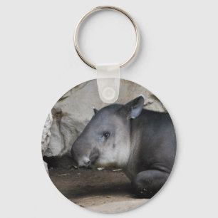 Chaveiro do Tapir