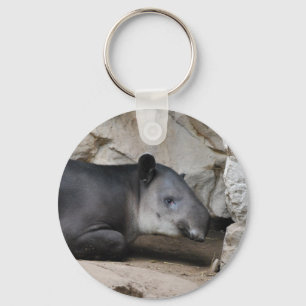 Chaveiro do Tapir de Baird