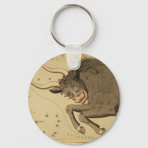 Chaveiro do Taurus