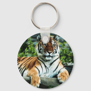 Chaveiro do tigre