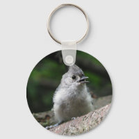 Chaveiro do Titmouse tufado