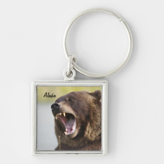 Chaveiro do urso de Alaska Brown (Frente)