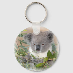 Chaveiro do urso de Koala