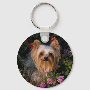 Chaveiro do yorkshire terrier