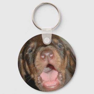 Chaveiro Doberman do bebê do grito