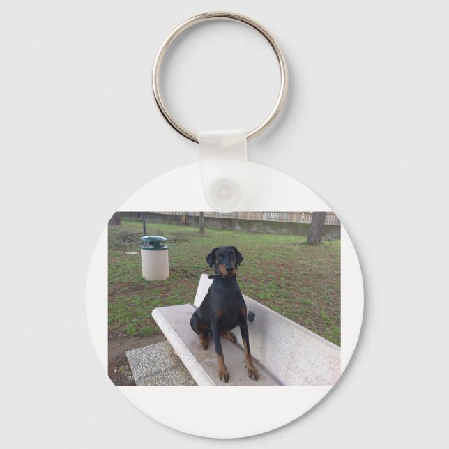 Chaveiro doberman pincher sentado.png (Frente)
