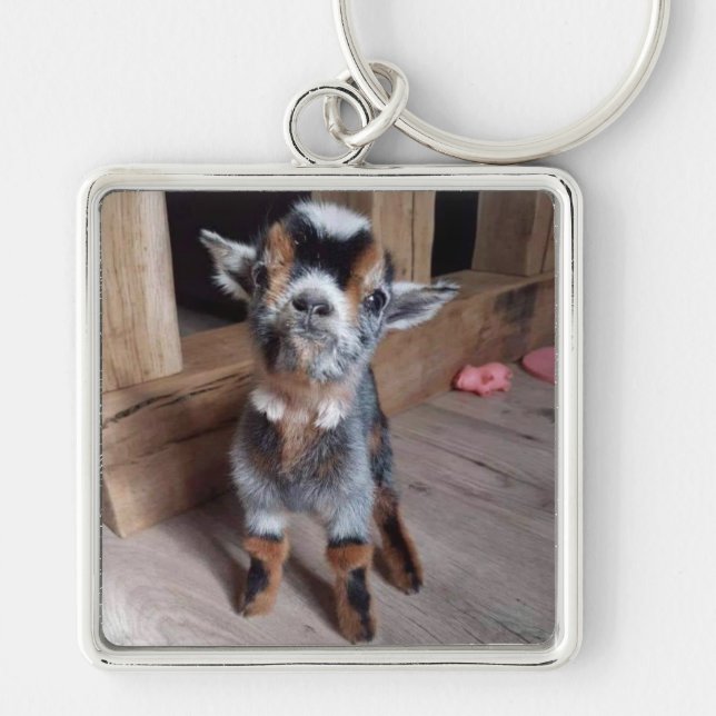 CHAVEIRO DOCE "KID" (BABY GOAT) (Frente)