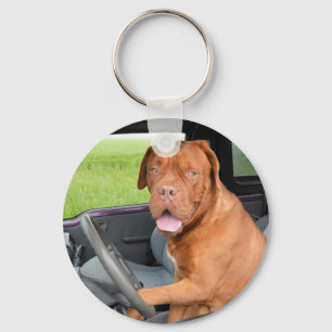Chaveiro Dogue de Bordeaux dirigindo