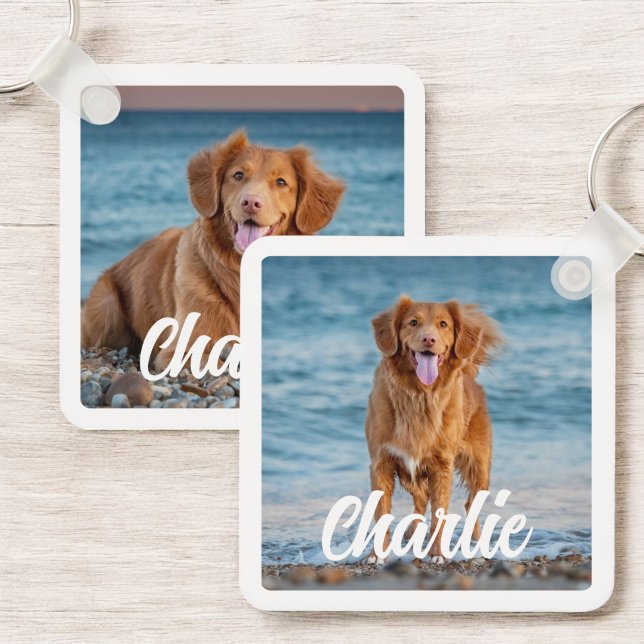 Chaveiro Dois Cachorros Fotográficos Lover Personalizados P (Criador carregado)