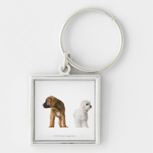 Chaveiro Dois cães